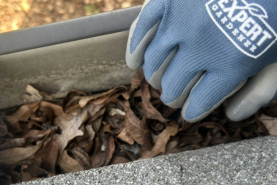 Gutter Cleaning Sante Fe, TX