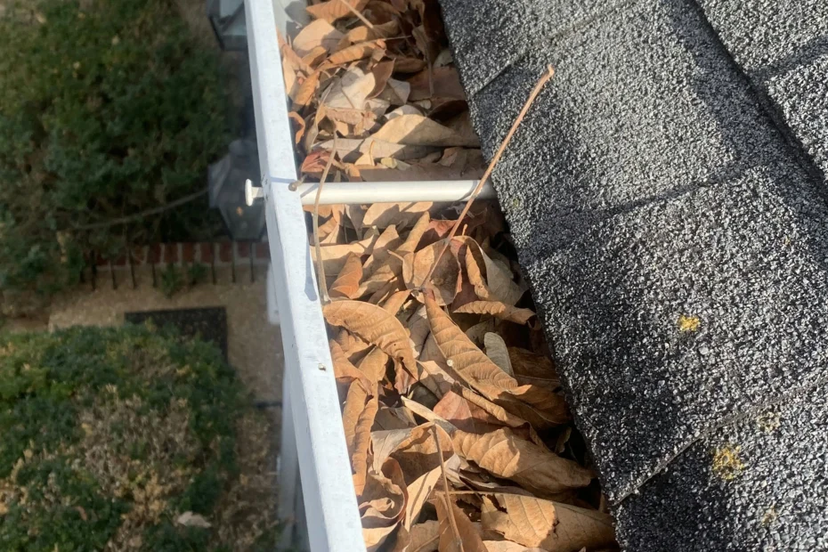 Gutter Cleaning Sante Fe, TX