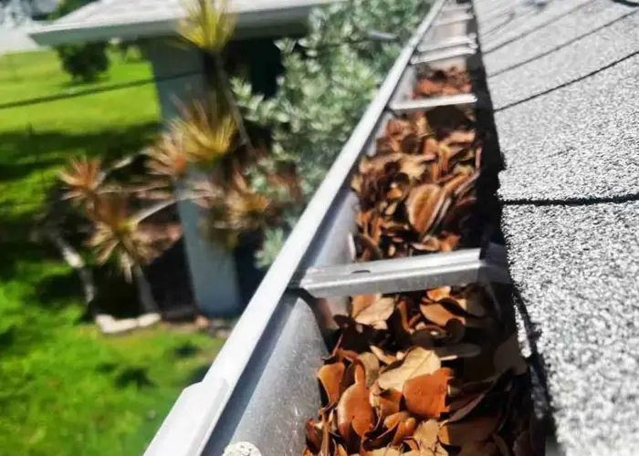 Gutter Cleaning Sante Fe, Tx home page